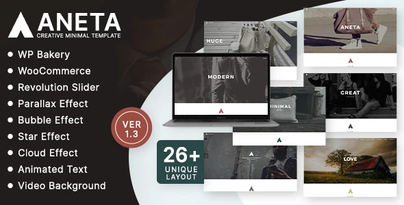 Aneta Agency Startup Agency WordPress Theme